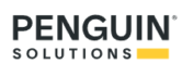 penguinsolutions-26